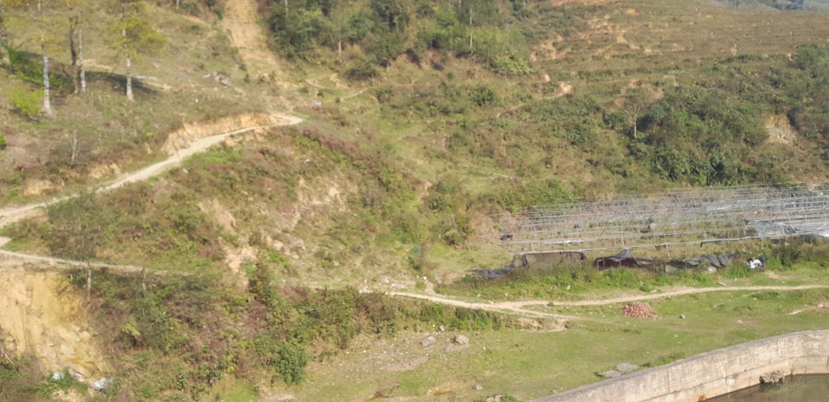 Ham Rong, Ta Phin, QL.4D.Sa Pa, rice fields (24301)