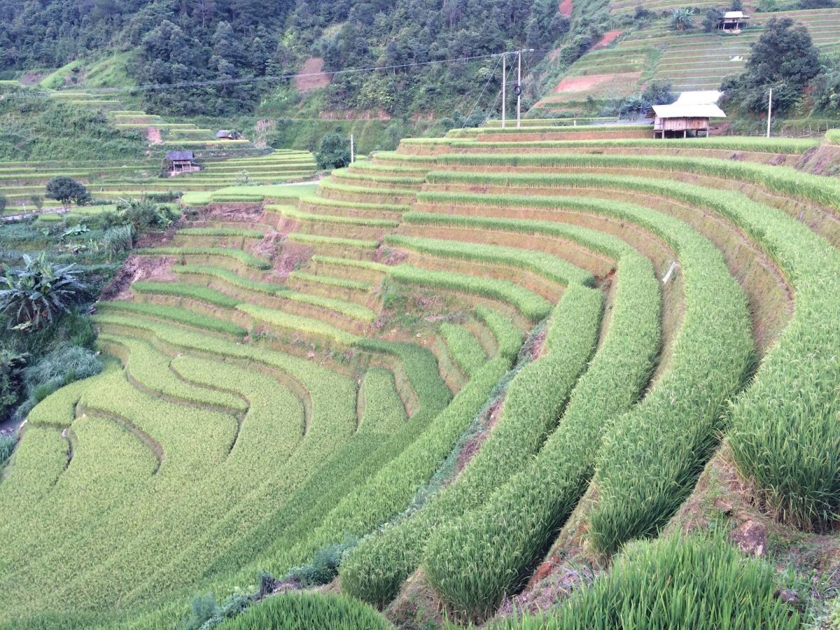 Chế Cu Nha, Mù Cang Chải, Yên Bái, Vietnam - panoramio (1)