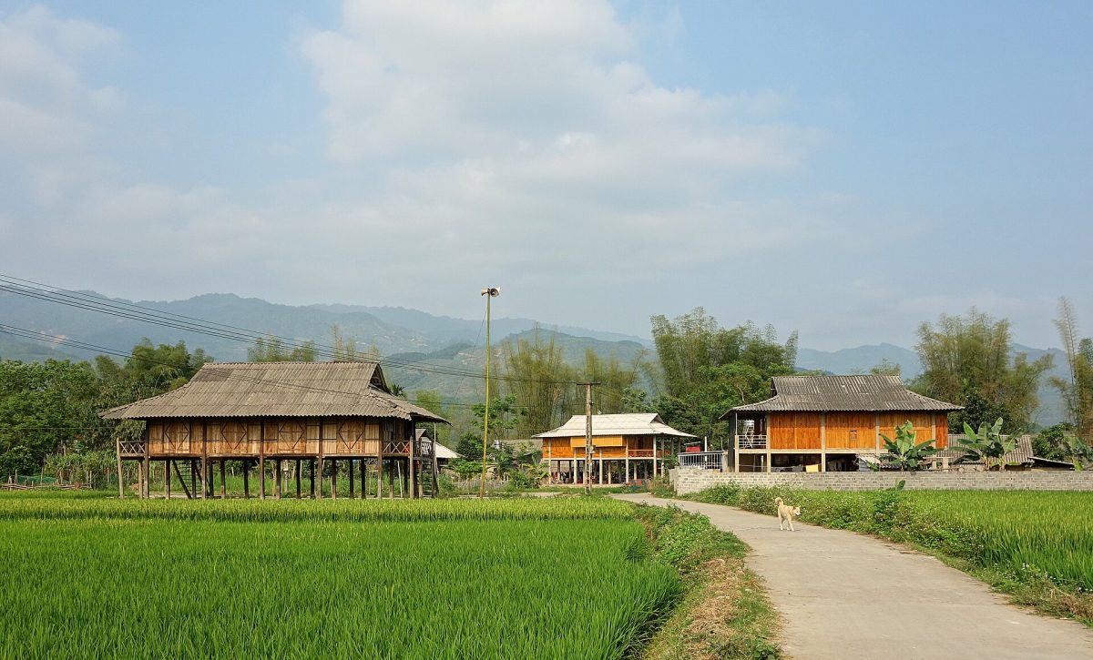 Nghia Lo maisons tradi