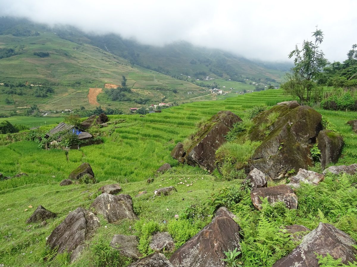 Rice terraces in Tả Van 05