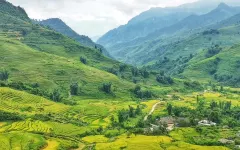 Y Tý mùa săn mây: đi đúng nhịp, ngắm vẻ mờ sương của vùng cao Lào Cai