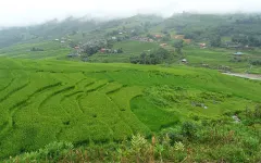 Tả Van ở homestay, ăn cơm nhà và đi bộ ngắm thung lũng