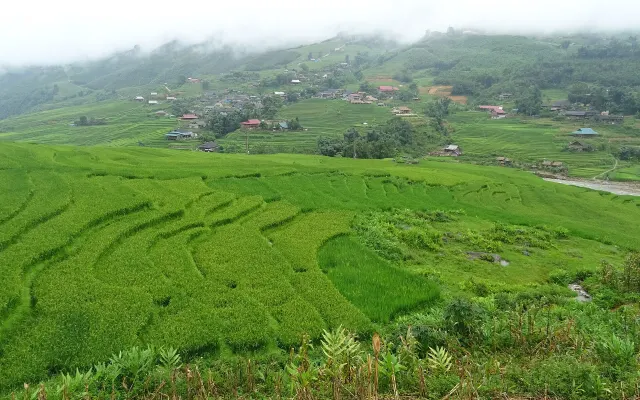 Tả Van ở homestay, ăn cơm nhà và đi bộ ngắm thung lũng
