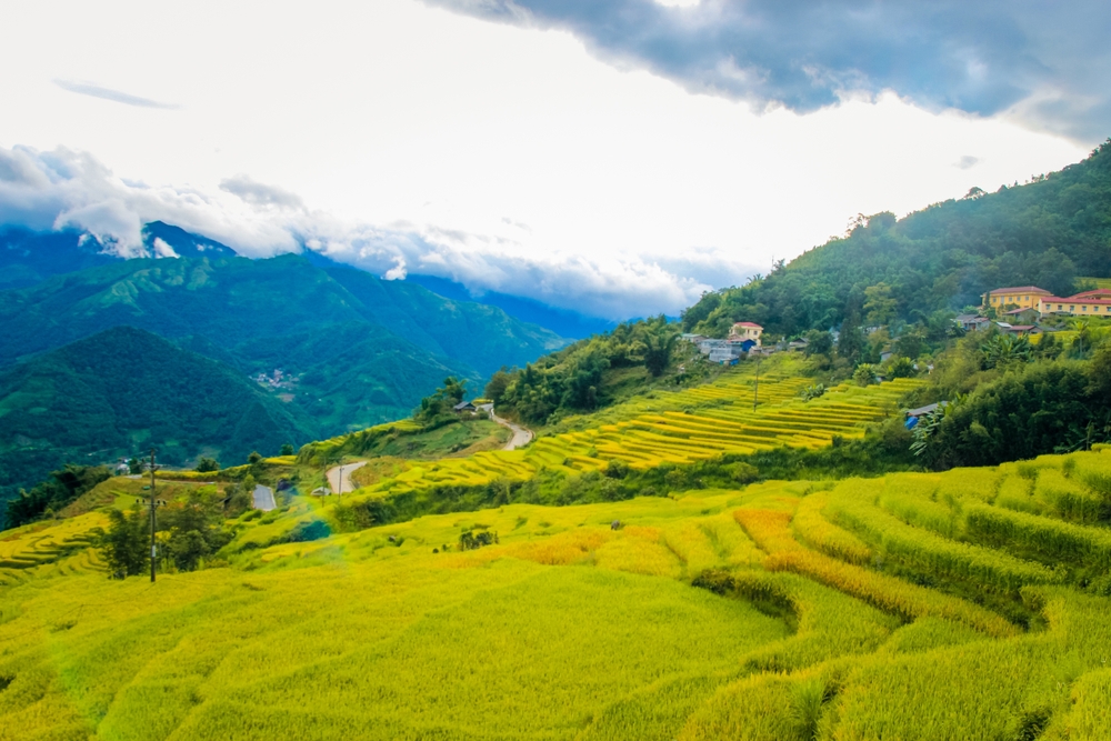 Y Tý mùa săn mây: đi đúng nhịp, ngắm đúng vẻ mờ sương của vùng cao Bát Xát