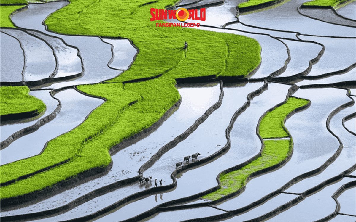 Nậm Cang Sa Pa: rừng suối và bữa cơm đậm vị bản